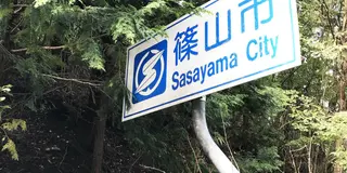 丹波篠山・黒枝豆のシーズン