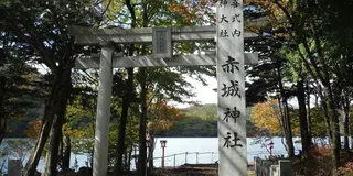 愛犬と行く群馬🎵