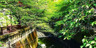 池尻・中目黒ほっこりお散歩