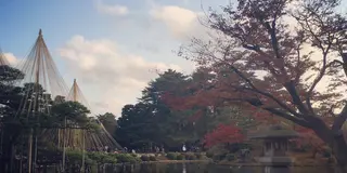 【金沢】１泊２日〜紅葉＆スイーツを楽しむ旅〜
