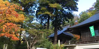 紅葉のやまがた(1泊2日)