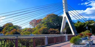 あの花　聖地巡礼