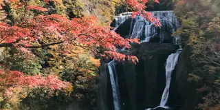 水戸発！日帰りで奥久慈・大子町めぐり