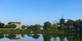 奈良のお寺と仏像めぐり(3日目)