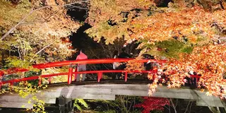 紅葉に癒される温泉の旅🍁♨️
