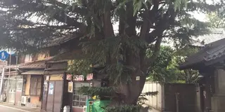 上野から歩いて谷根千ぶらり