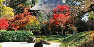 都内で紅葉を楽しむ（世田谷区と近隣）