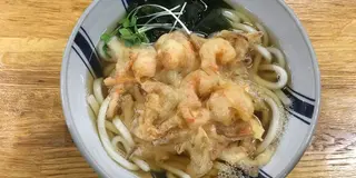 高知旅