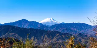高尾山だけじゃもったいない！八王子の素敵カフェを一挙紹介！