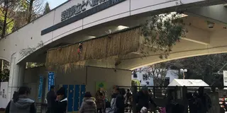 とべ動物園からのグルメ旅⁉︎