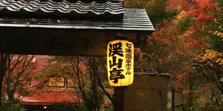 楽しめるモフモフ！オススメのたぬき(動画あり)がいる信州の旅
