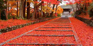 京都からぷらっとサイクリング旅