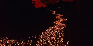 大分県竹田市 城下町・大自然・温泉の贅沢コース