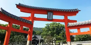 高松で赤い三ツ鳥居！とうどん旅。富士山🗻を空からお届けします✨