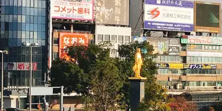 インスタ映えスポットたくさん♫岐阜の旅