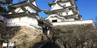 三重のお城で頂ける城御朱印(登城記念符)巡りの旅
