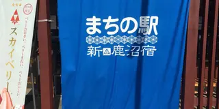 日帰り！歩きで鹿沼旅行