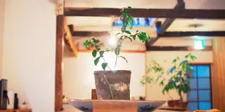 【山梨】富士山だけじゃない！アクセス良好&写真映えスポット満載の富士吉田へ行ってみよう