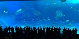 沖縄3日間旅行(東京ー>沖縄)