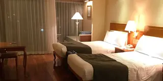 桜🌸を求めて 沖縄の旅