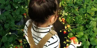 【館山】一足先に春を感じたい！