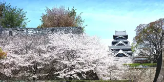 【熊本旅行】