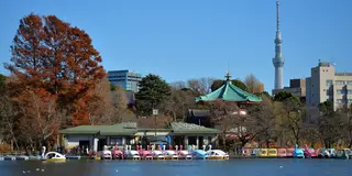 【上野・浅草】散歩