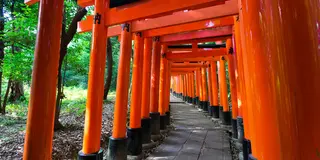 【真夜中のプリンス ロケ地へ行ってみよう】根津・谷中・千駄木エリア