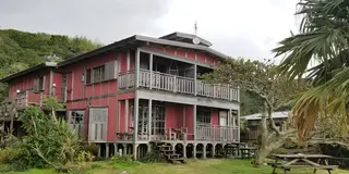 雨でも楽しめる冬の【奄美大島】