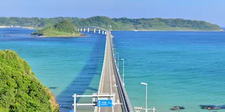 Ocean view