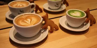 【東京】デートにもオススメ！👫可愛いインスタ映え抜群カフェ大特集🤳