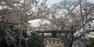 埼玉県狭山市水富から稲荷山公園
