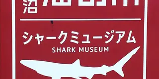 みやぎドライブ