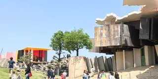 爽やか♪春の養老公園