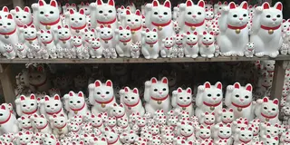 【世田谷線】散策切符330円でがっつり１日御朱印巡り（9カ所）