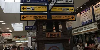 3度目の川越は喜多院が見所❣️