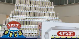 富士芝桜まつりと温泉の旅