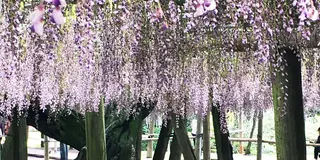 GW 北九州 自然体感ツアー