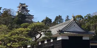 石ちゃんのぶらり旅🚘-日曜市をぶらり散策-