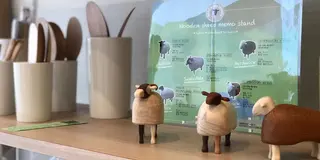 東北花見の旅