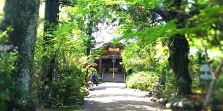 お遍路参り〜松山編〜