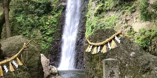 長良川温泉 岐阜城の旅180430