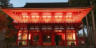 ［1泊2日］車で巡る和歌山🚘