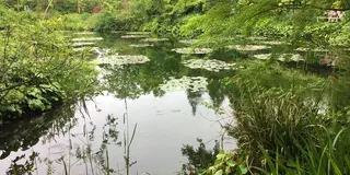 安芸市の旅