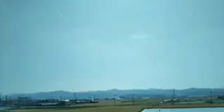 中間市の麦畑をご覧あれ