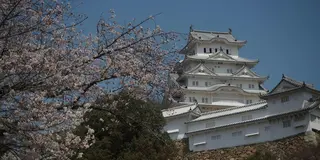 【姫路】ここに行けば間違いなし！定番スポット８選