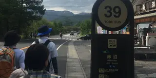 奥日光初夏のハイキング
