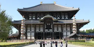東大寺お水取りと奈良三名椿を巡る旅。