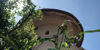 トーベ・ヤンソン   あけぼの公園と高句麗の歴史