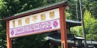高幡不動尊のあじさいまつりを見てあじさいソフトで一休み